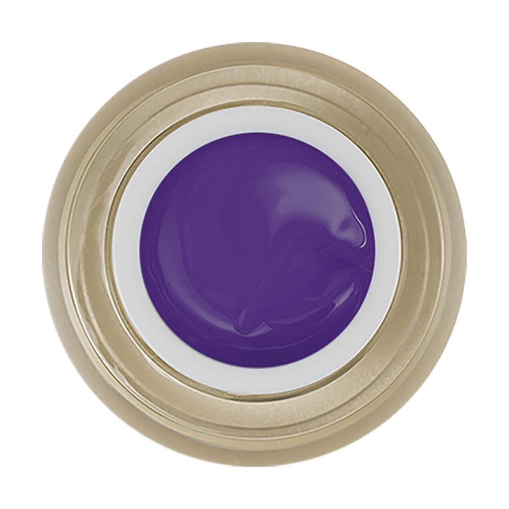 LDS Painting Gel Nail Art - 0.5oz Purple 08